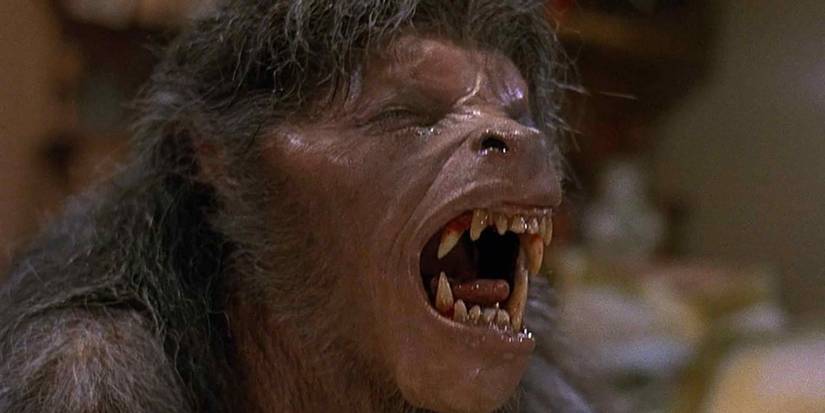 The Werewolf In An American Werewolf In London