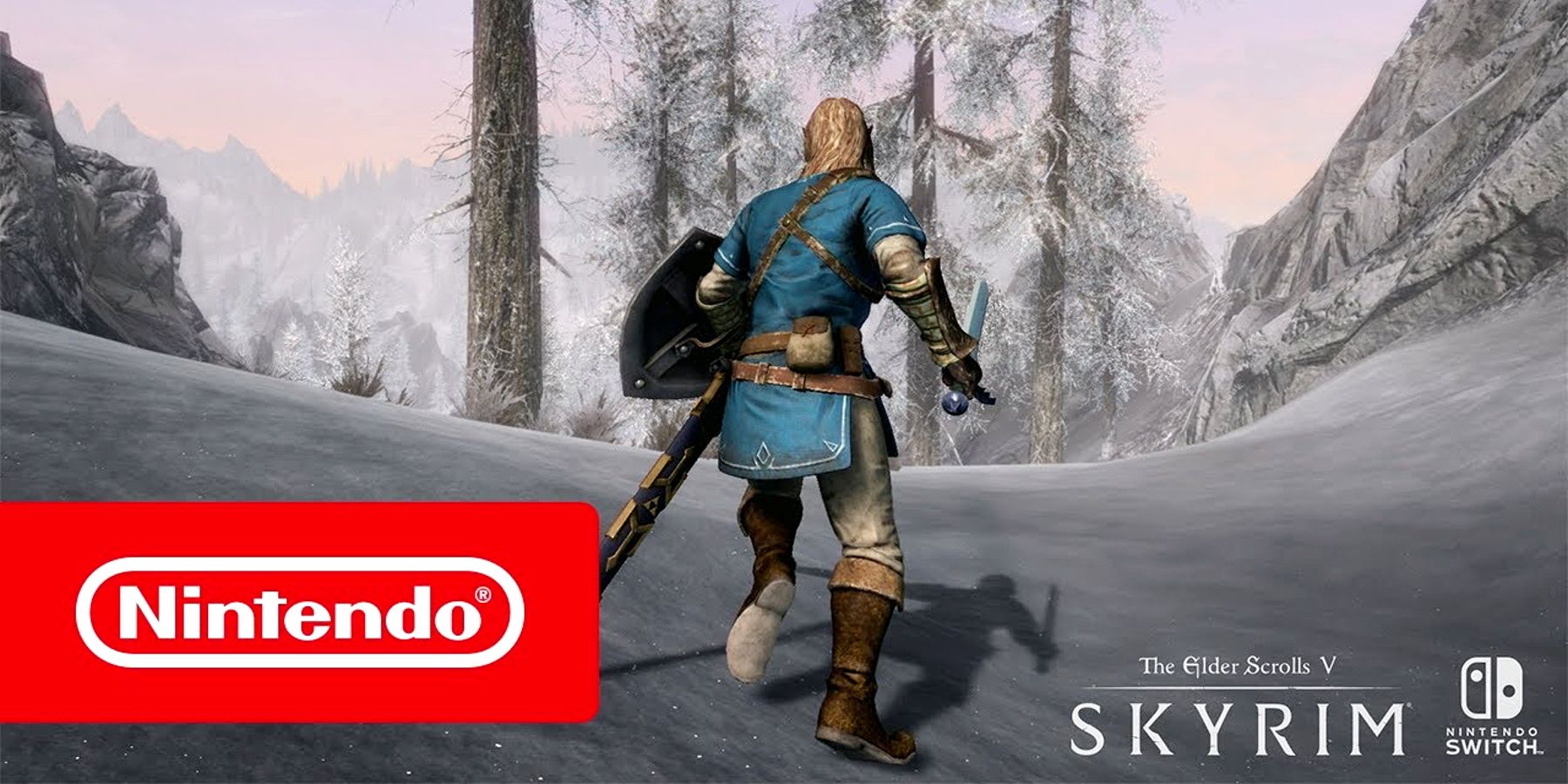 Nintendo switch shop with skyrim