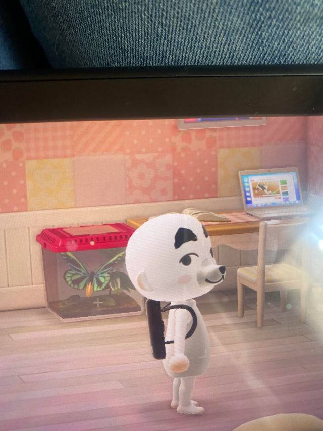 animal crossing new horizons kk slider fan costume