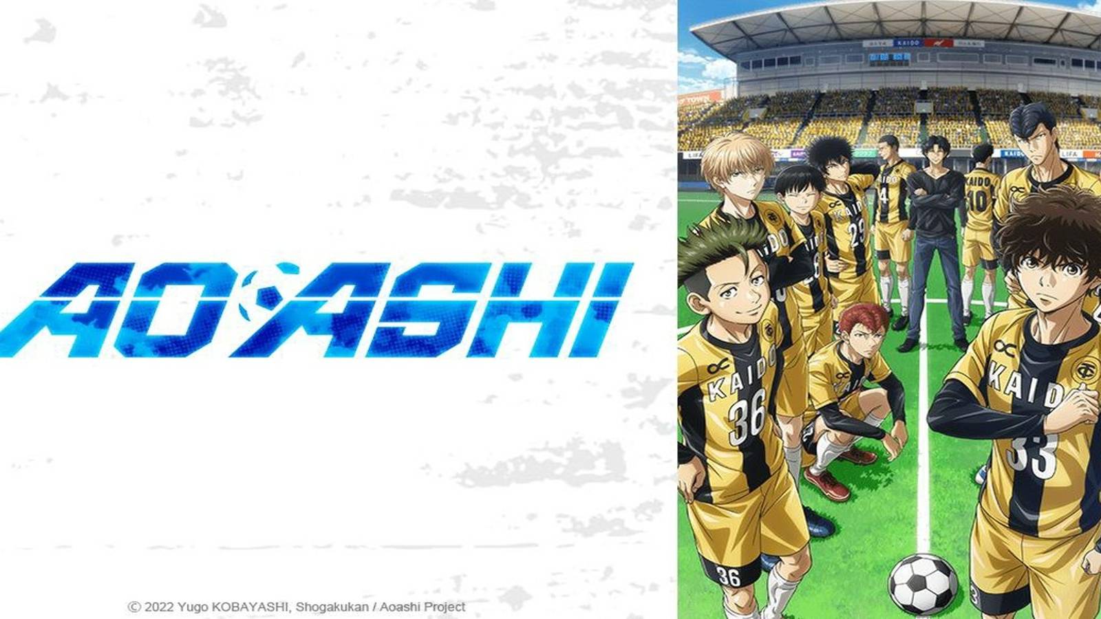 aoashi_feature_cover