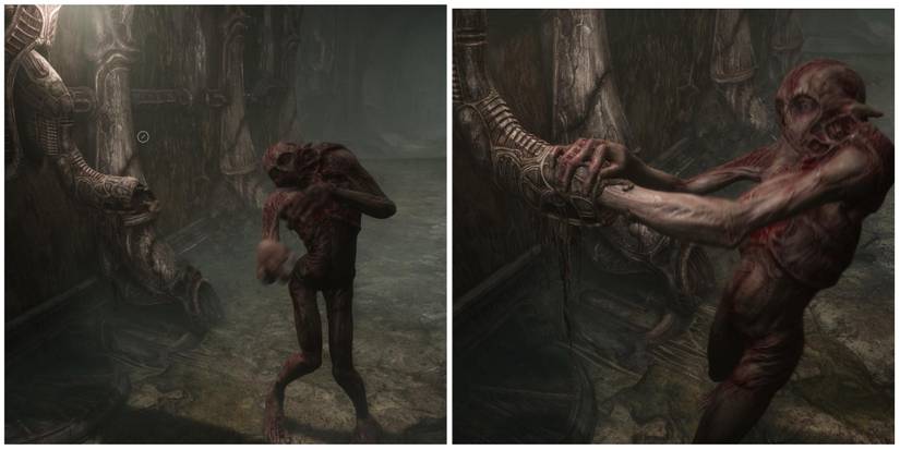 creature sticking hand in contraption