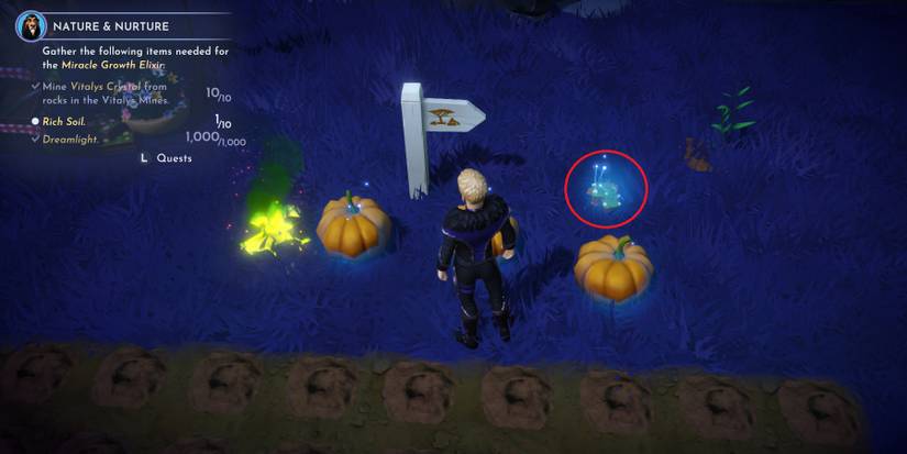 disney-dreamlight-valley-how-to-get-rich-soil1