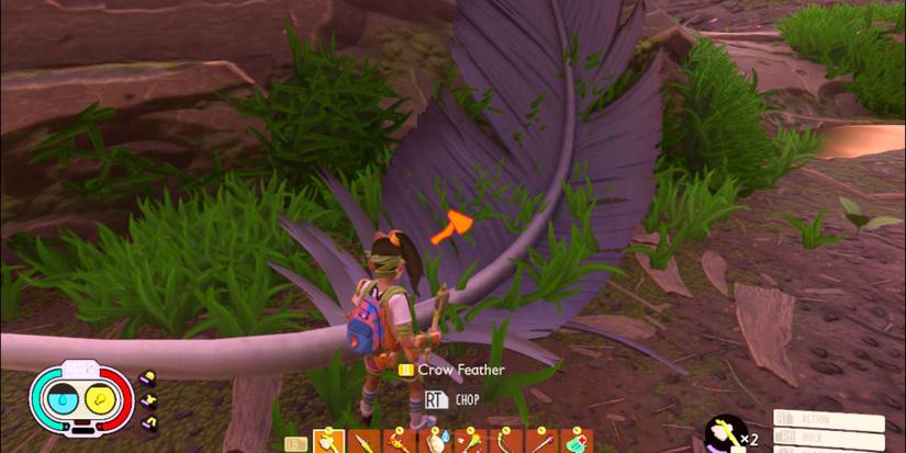 Crow Feather In Grounded