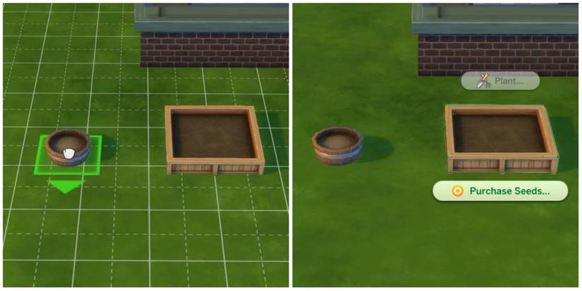 purchasing seeds through planter