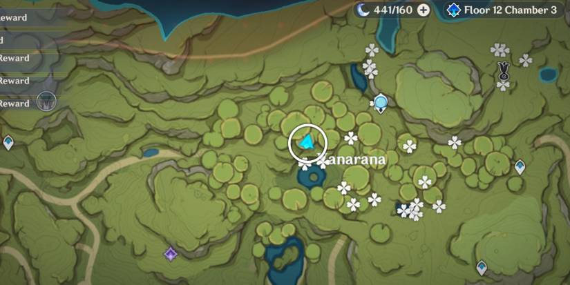 genshin impact real vanarana 1