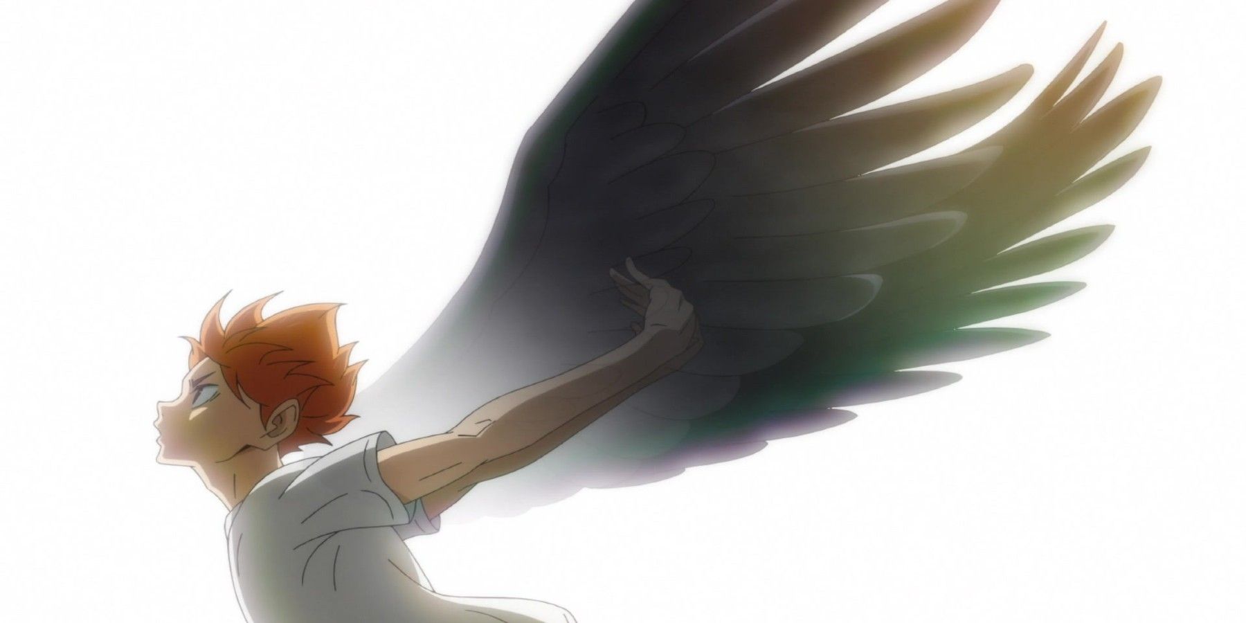 haikyuu_hinata_wings_crow