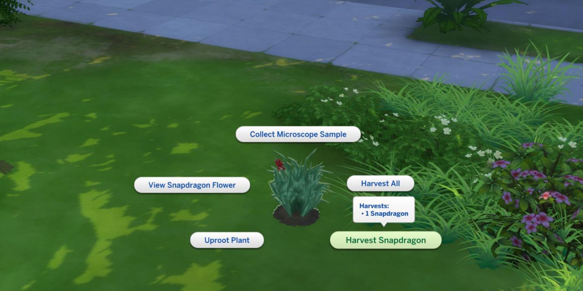 The Sims 4 How To Plant Seeds