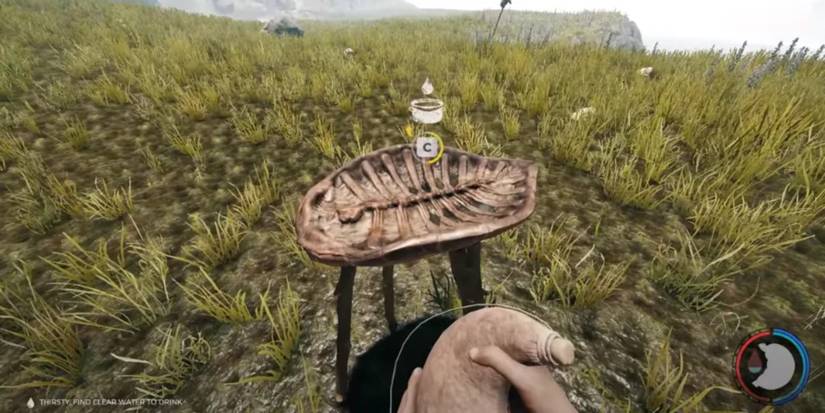 Turtle Shells Clean The Forest: How to Get Clean Drinking Water