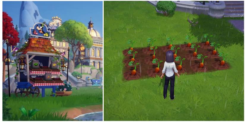 getting ingredients, goofy's stall, having a farm