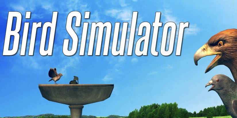 Bird Simulator