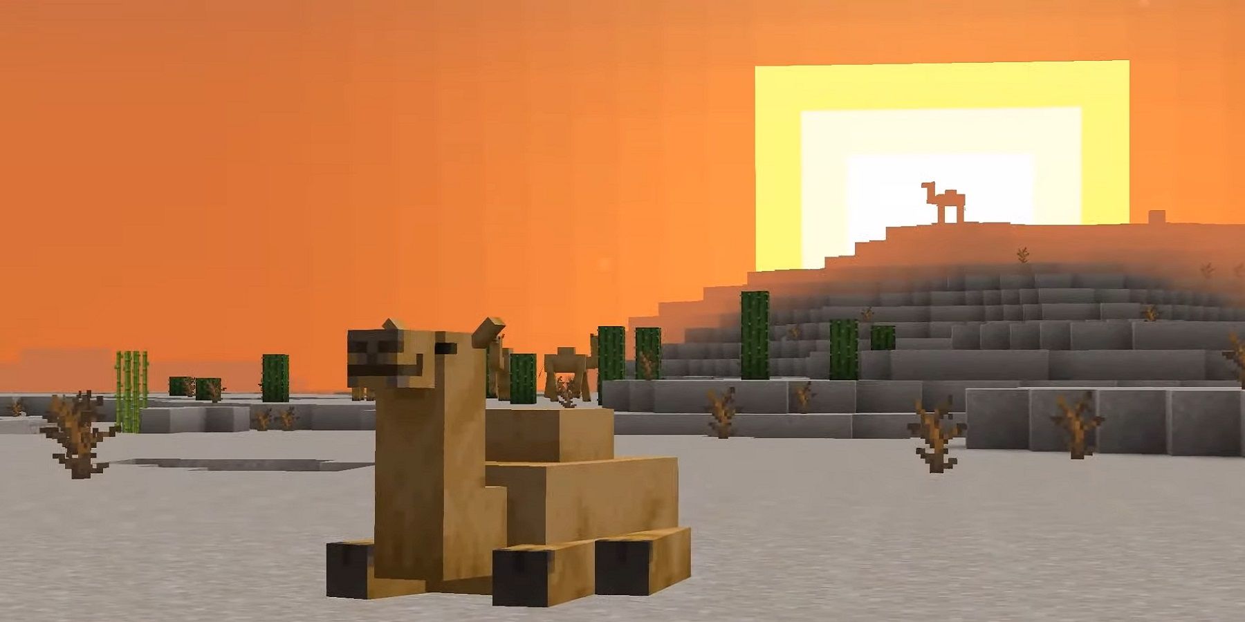 minecraft-fan-notices-strange-detail-about-camels