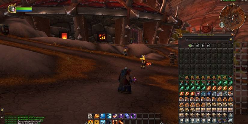 Dragonflight combined bags