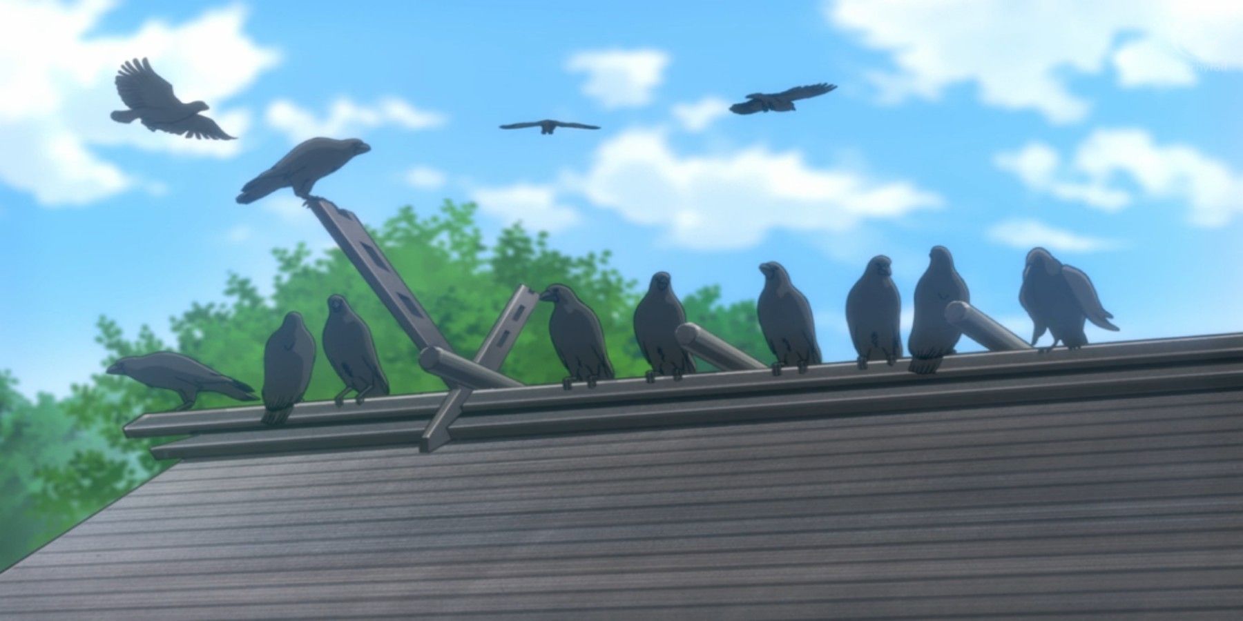 Why Do So Many Anime Use Crows?