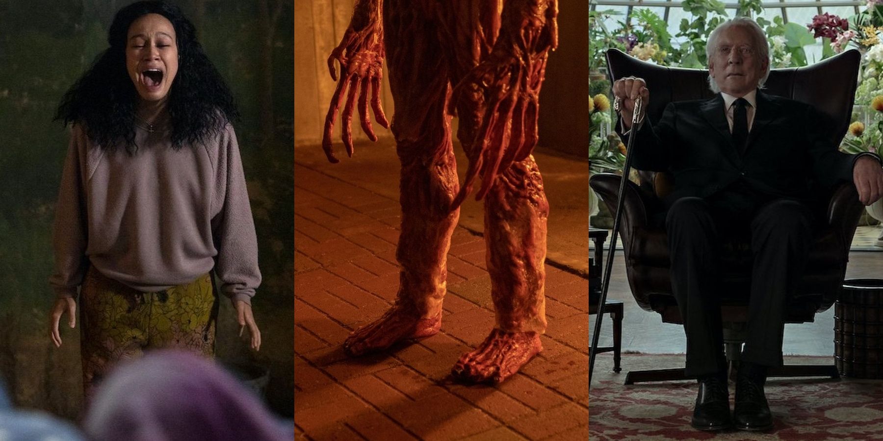 Мишель йео ведьмак. С замиранием сердца сериал нетфликс 2022. Несовершенные 2022 постер. Зои салданапроект «адам» (2022) the adam project. Озарк 4 сезон роли.