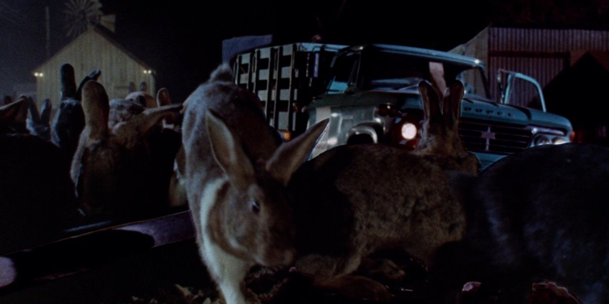 night-of-the-lepus Cropped