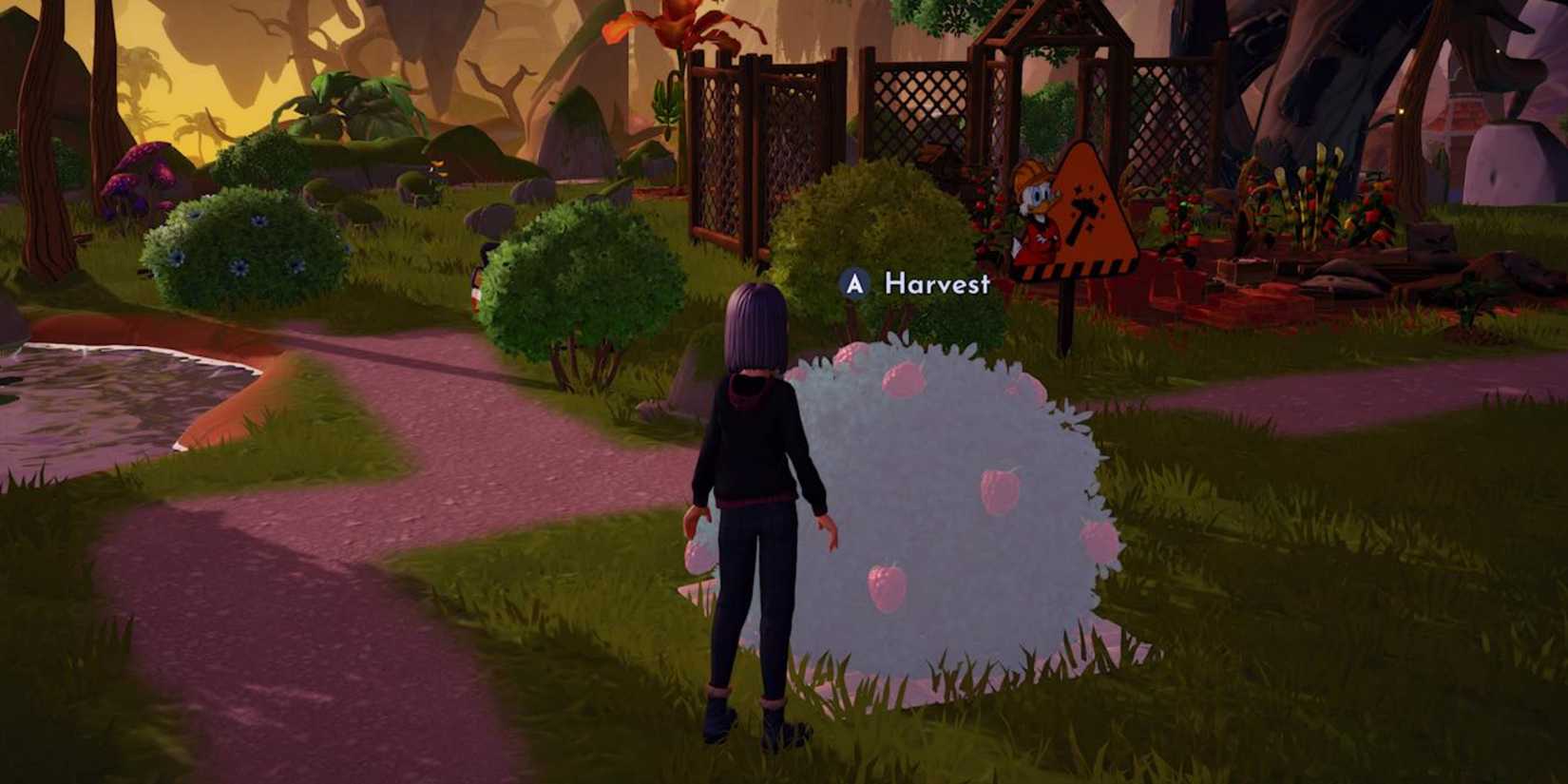 picking dreamlight valley raspberries