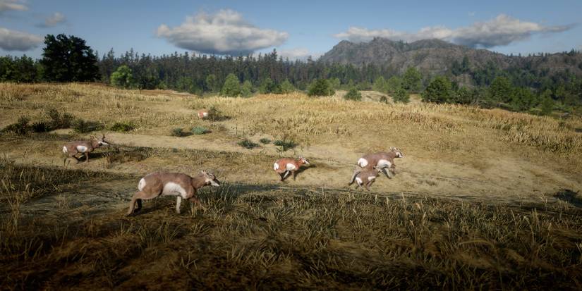 red-dead-hunting-mod