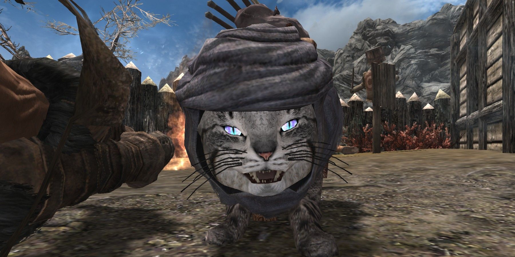 Funny Skyrim Mod Replaces Courier With an Alfiq Cat