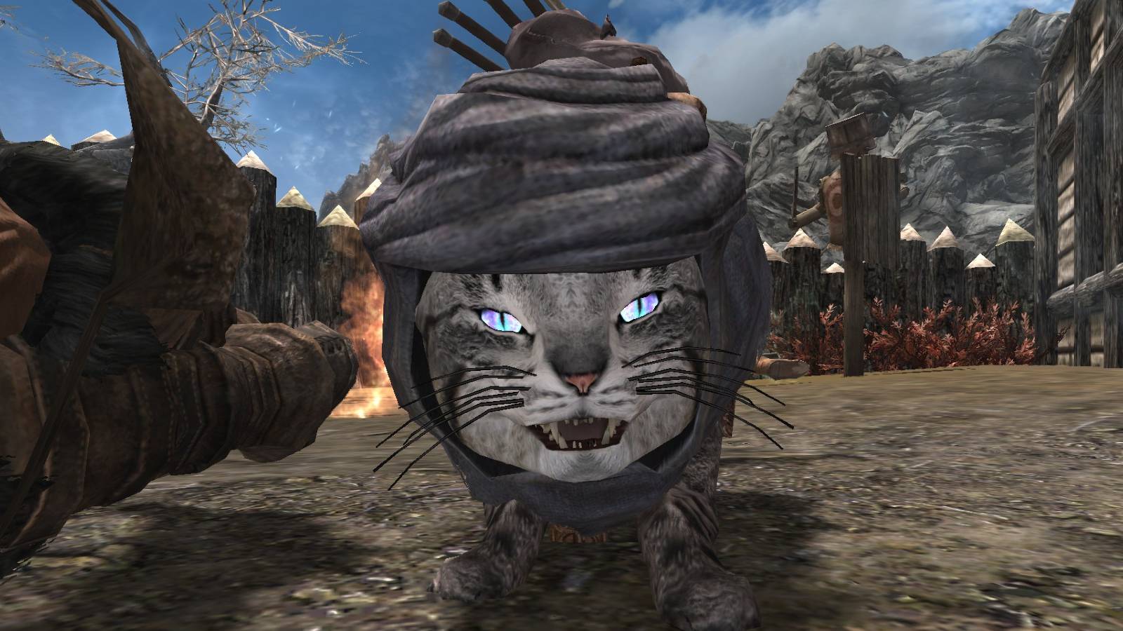 skyrim-khajit-courier-cat-mod