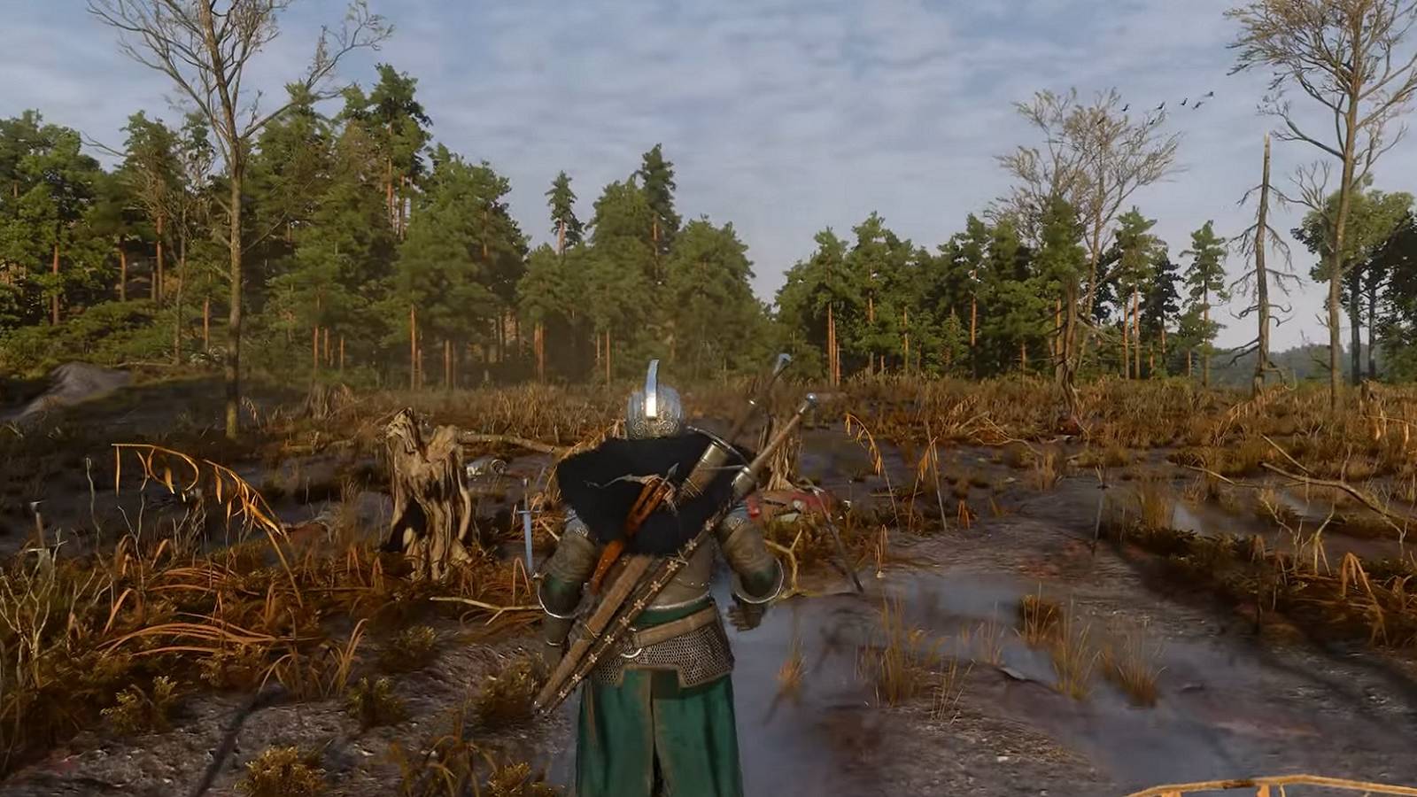 A screenshot from The Witcher 3 showing the player wandering through a swampy area.