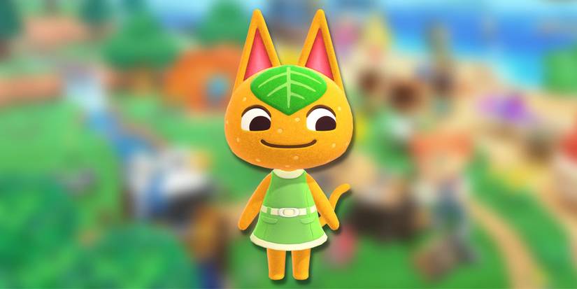 Tangy, an orange patterned cat with a green leaf on her forehead, on a blurred green background.