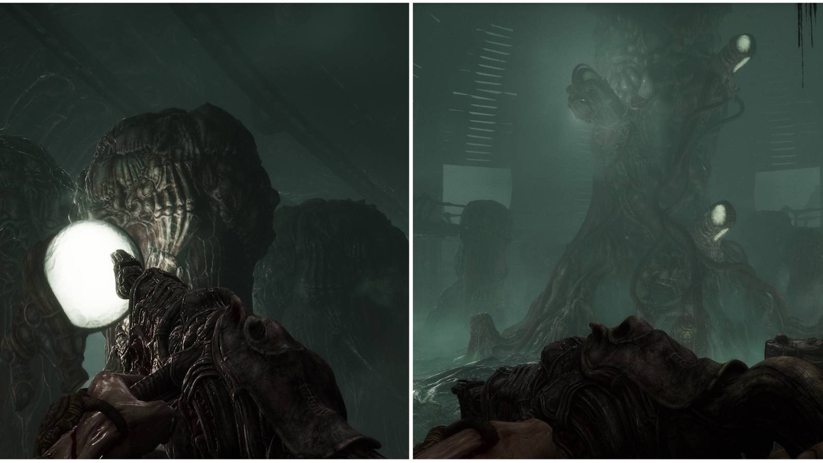 weapon firefly and tree in middle of act 1-2