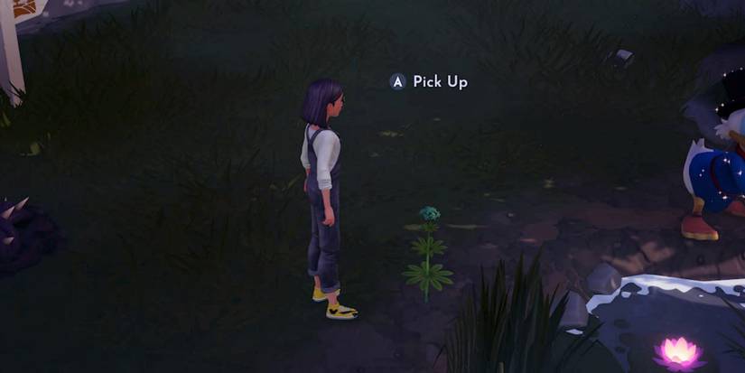 picking up flower in glade of trust