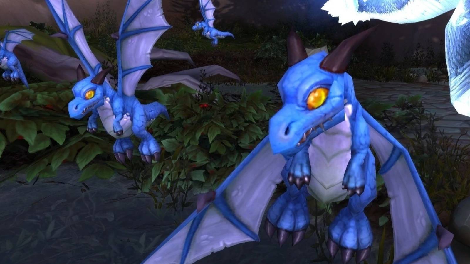 wow df blue dragon whelp