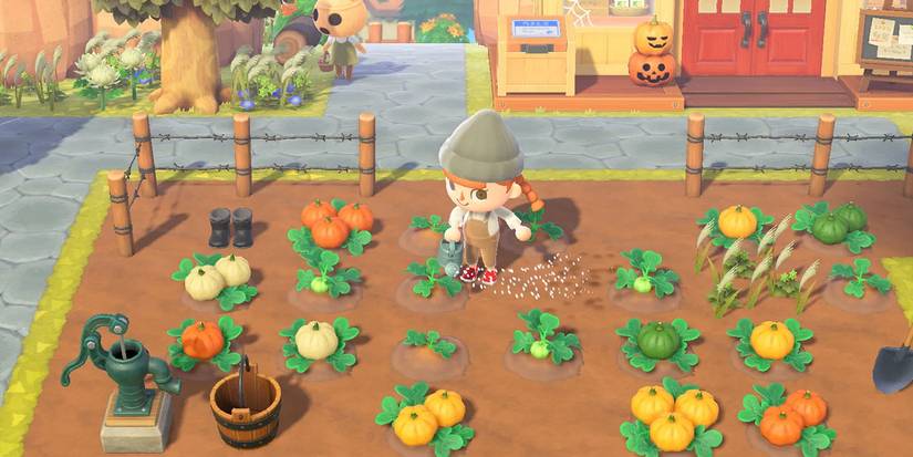 0_0009_Animal Crossing New Horizons