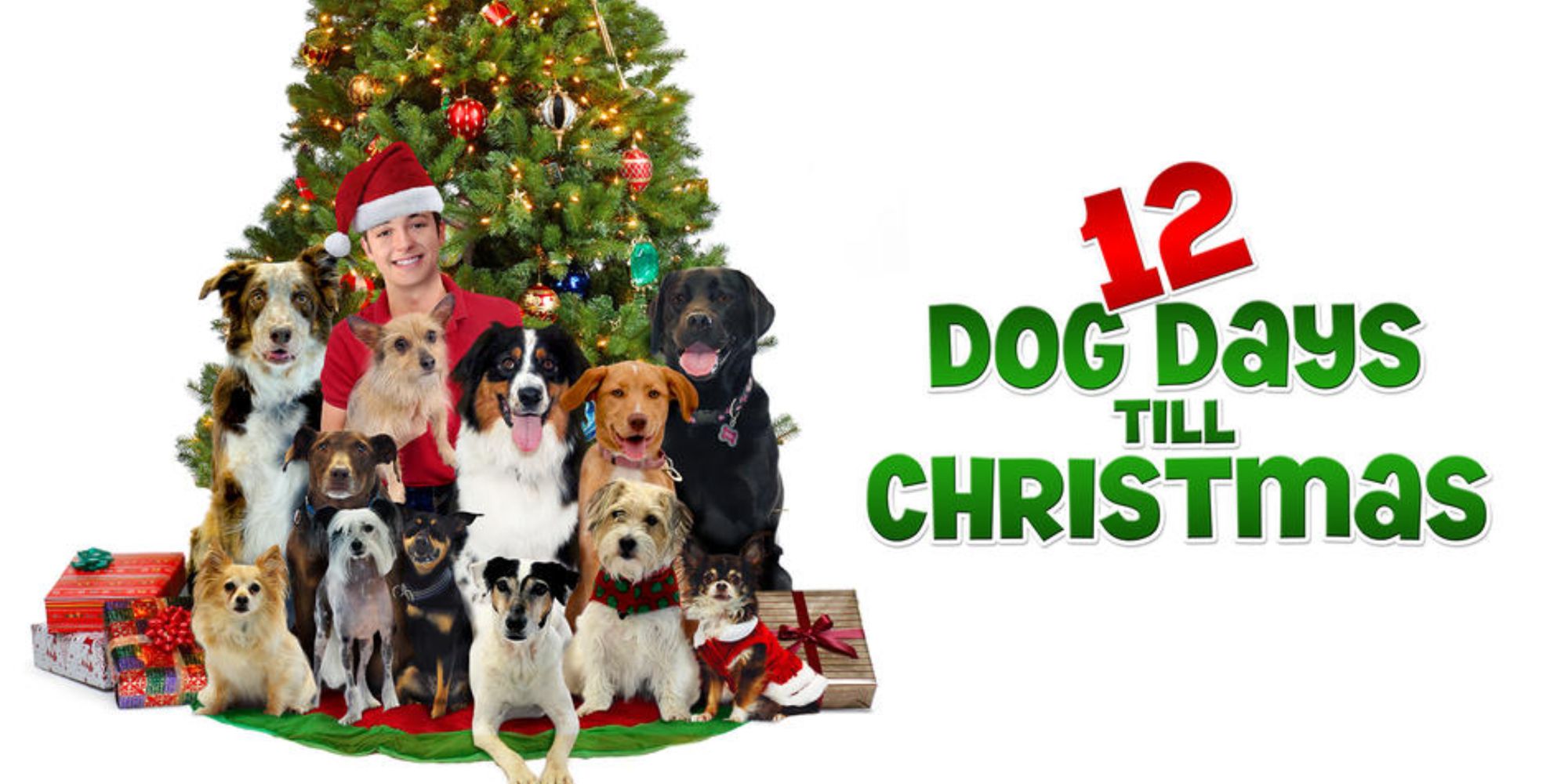 12 Dog Days Till Christmas