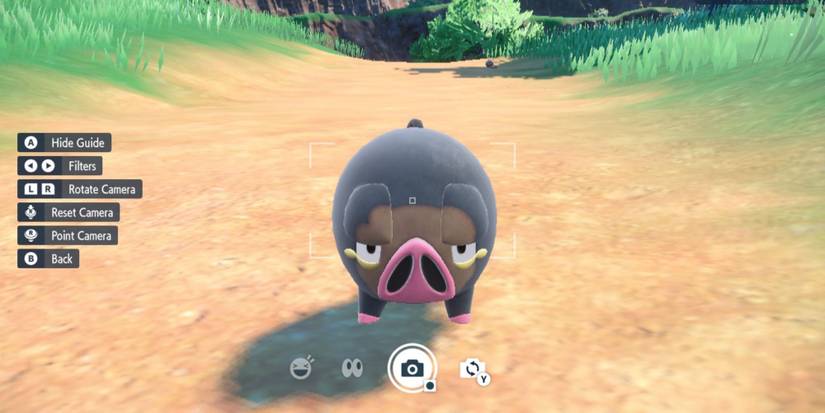 Snapping a picture of Lechonk in Camera Mode, Pokemon Scarlet & Violet