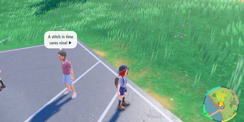 A berry hidden on the ground, Pokemon Scarlet & Violet