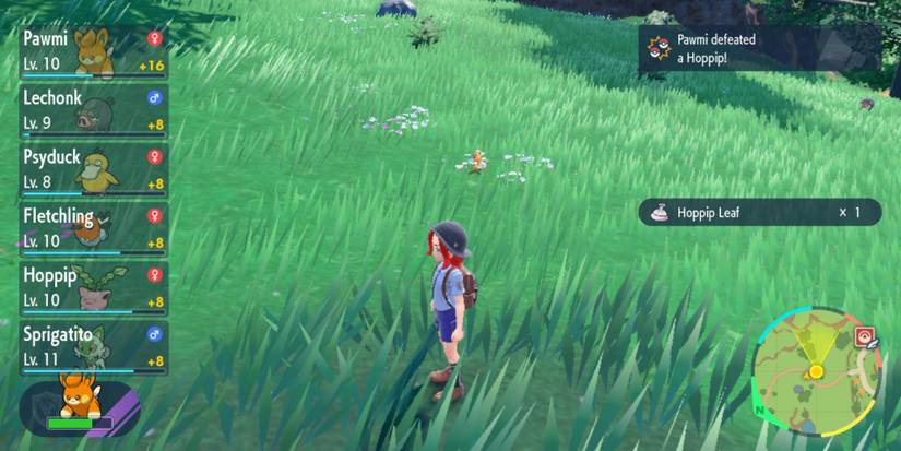 Pawmi wins an Auto Battle in Pokemon Violet