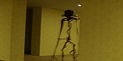 An entity in Inside the Backrooms