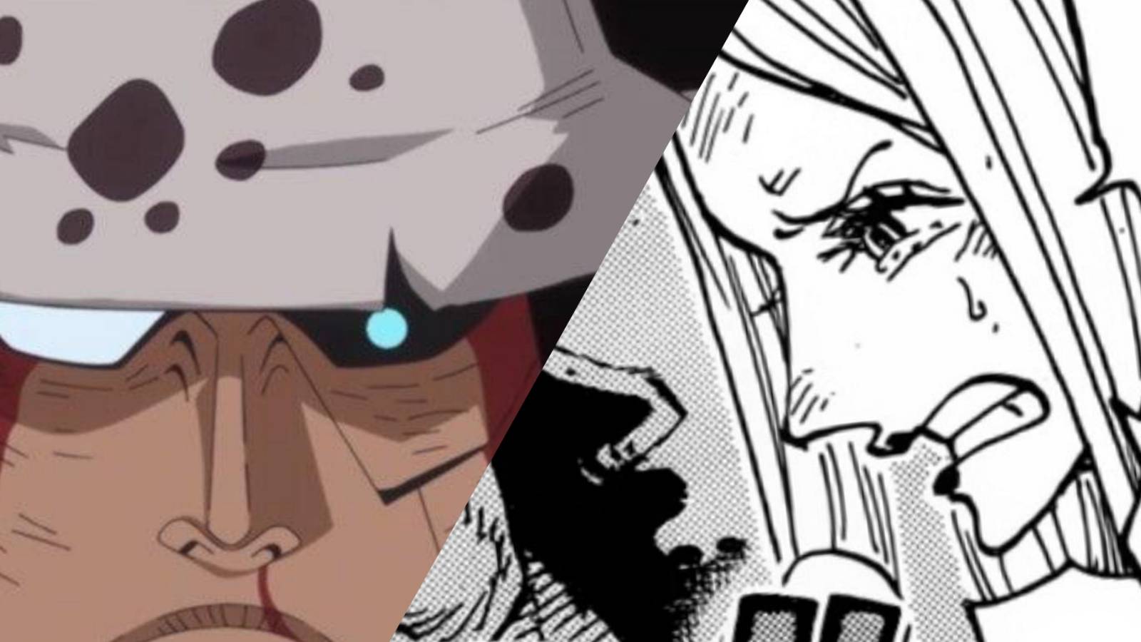 Bartolomew kuma and jewelry bonney