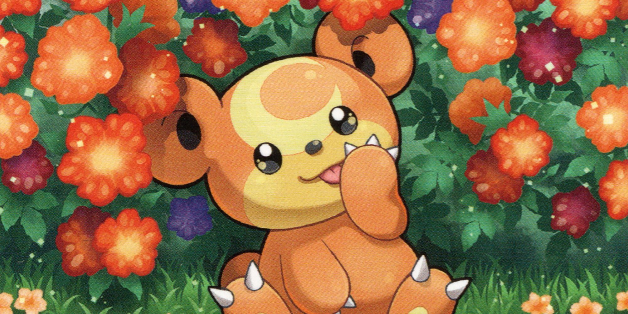 Teddiursa In Pokemon