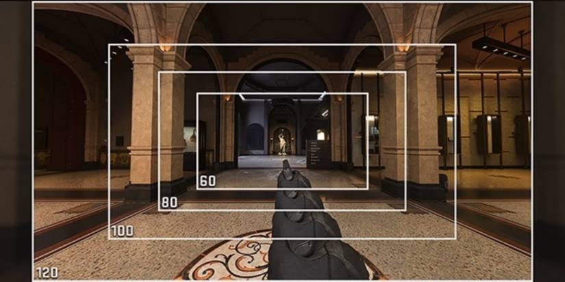 Call Of Duty Modern Warfare II (2022) DDOS Field Of View Ranges