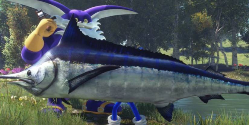 Catching Fish in Sonic Frontiers