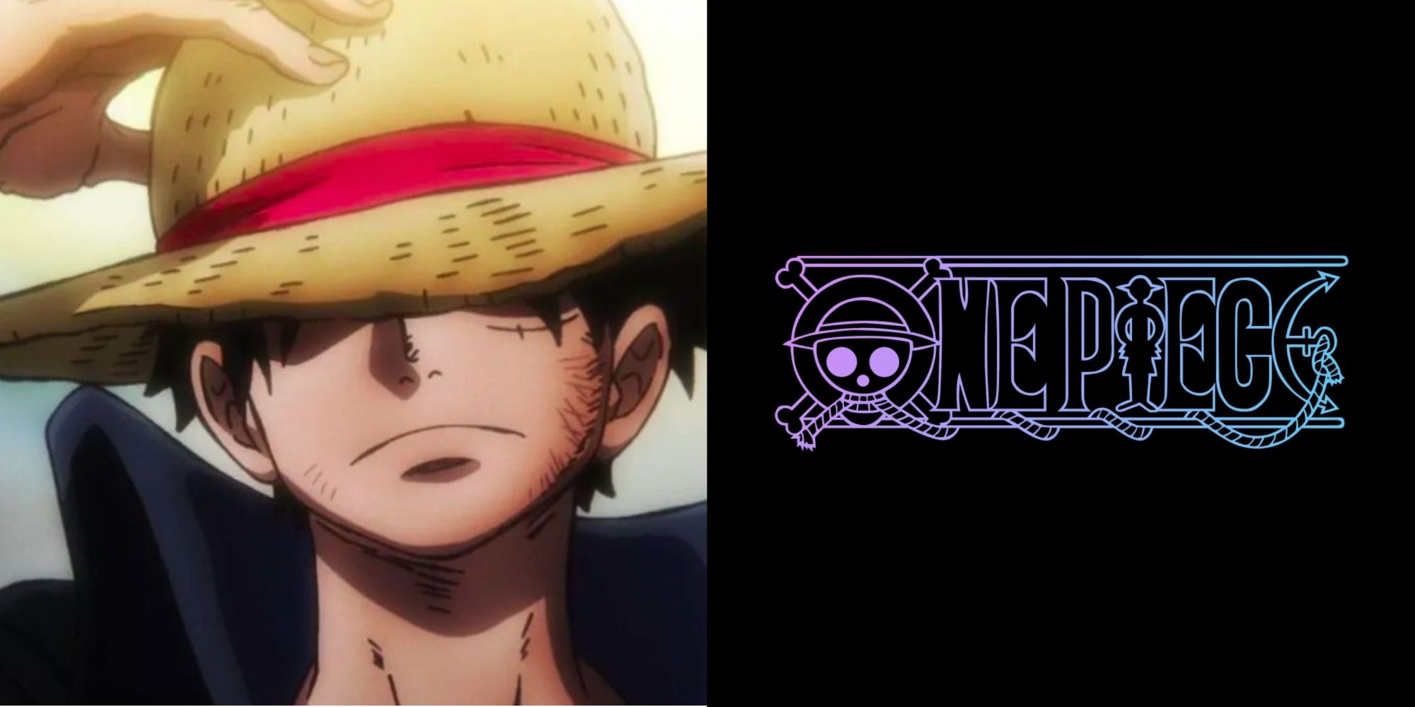 Luffy With Straw Hat and the One Piece icon 