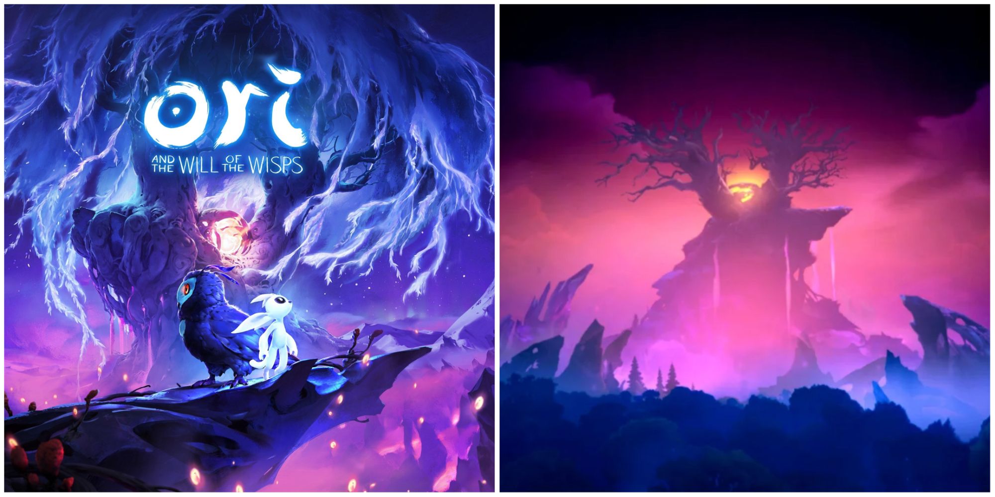 Ori And The Will Of The Wisps: How To Complete Willow's
End