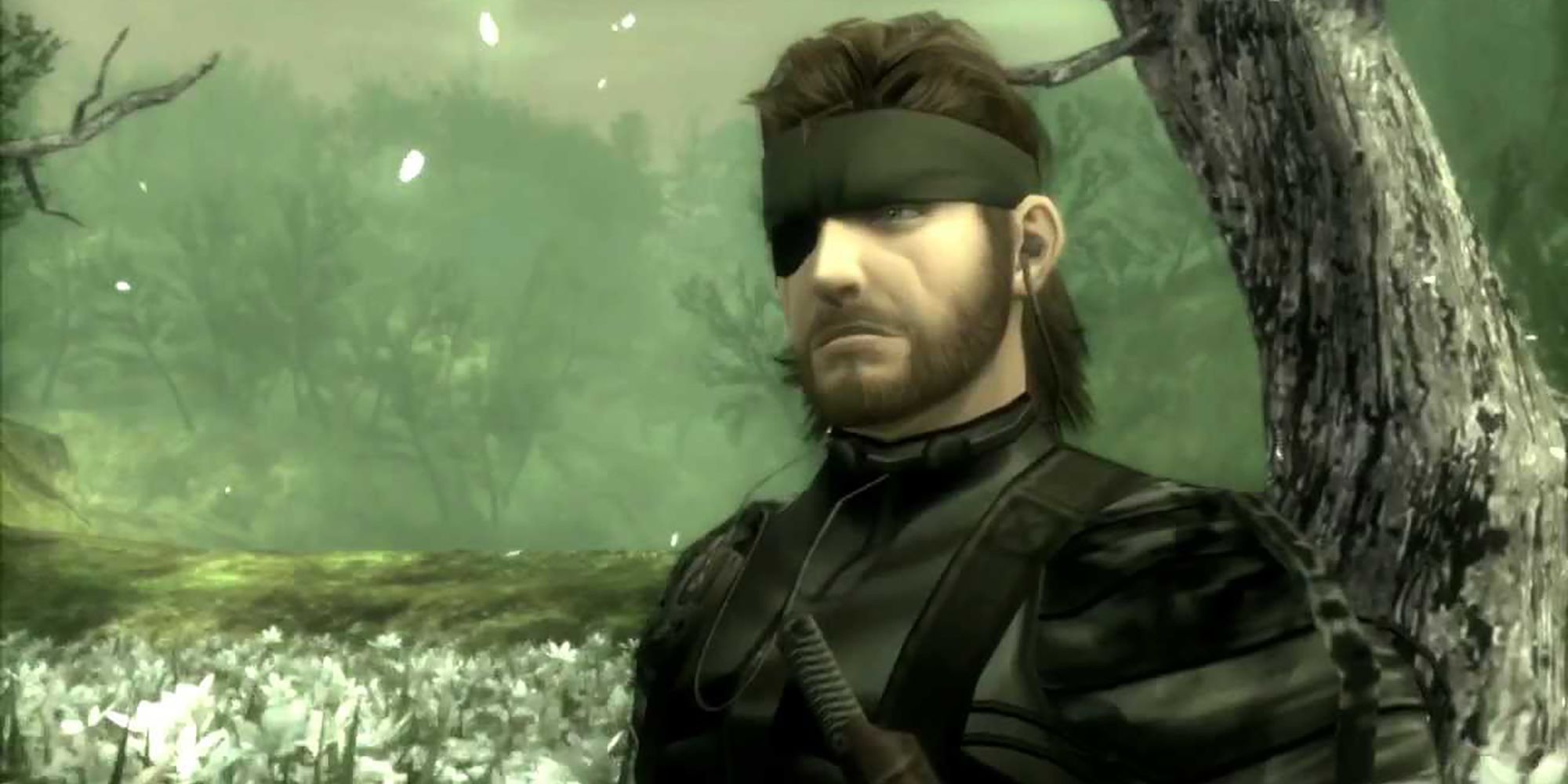 An Image From Metal Gear Solid