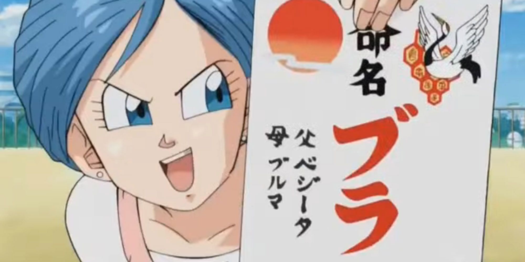 Dragon Ball - Bulma Holding Up Bulla's Birth Certificate