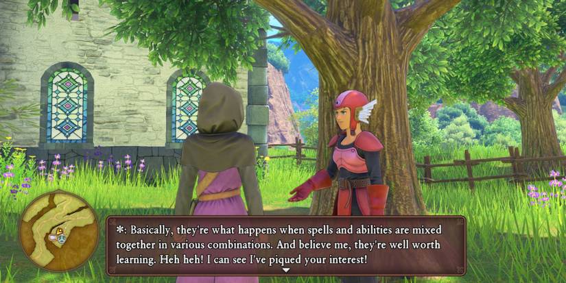 Dragon Quest 11 -accepting it takes two quest