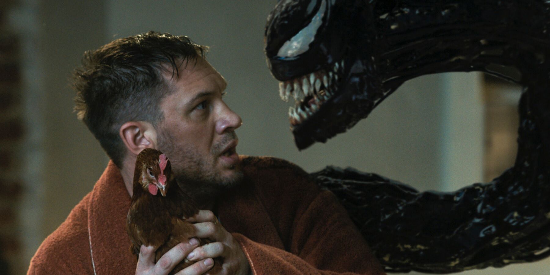 Eddie protects a chicken from Venom in Venom Let There Be Carnage
