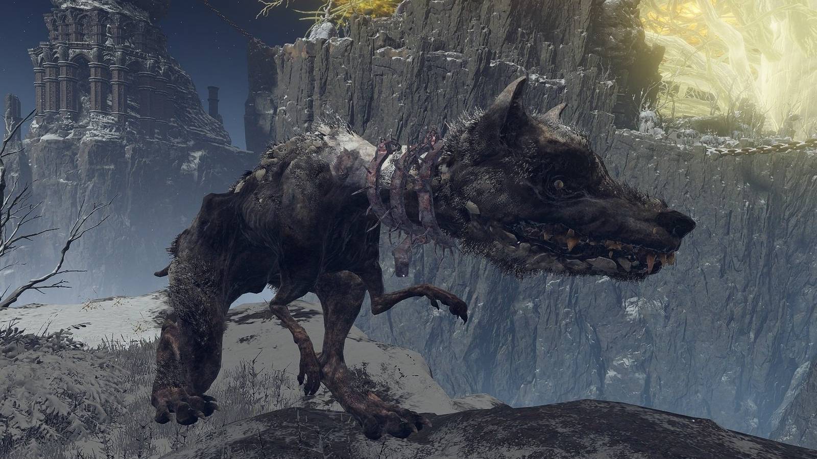 Elden Ring Dog Detail