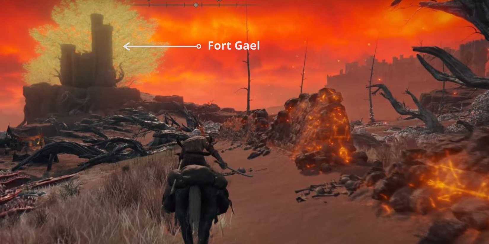 Elden Ring Fort Gael View