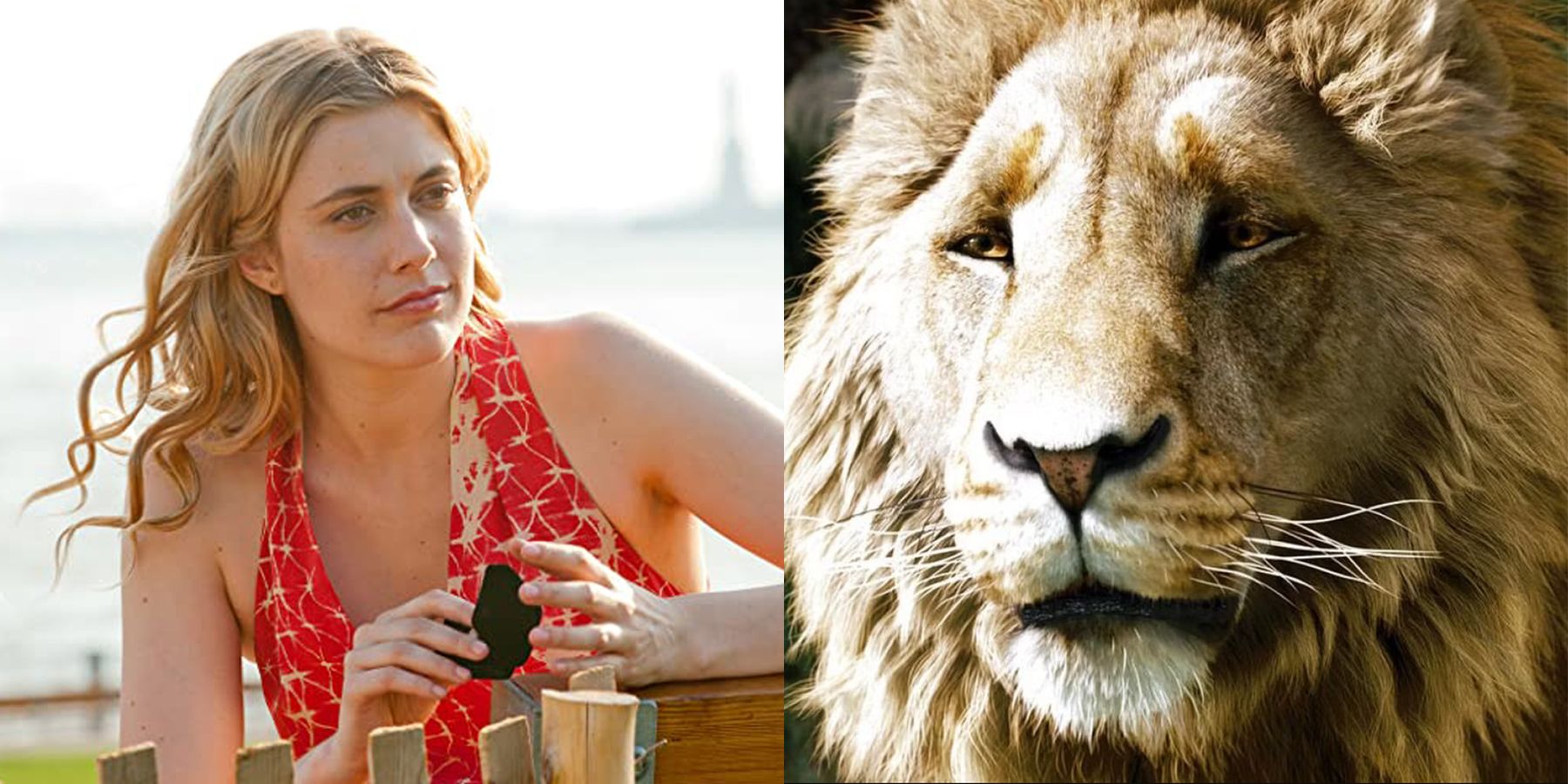 Greta Gerwig Chronicles of Narnia Netflix