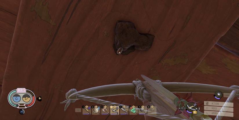 GroundedPupaHangingUpTop