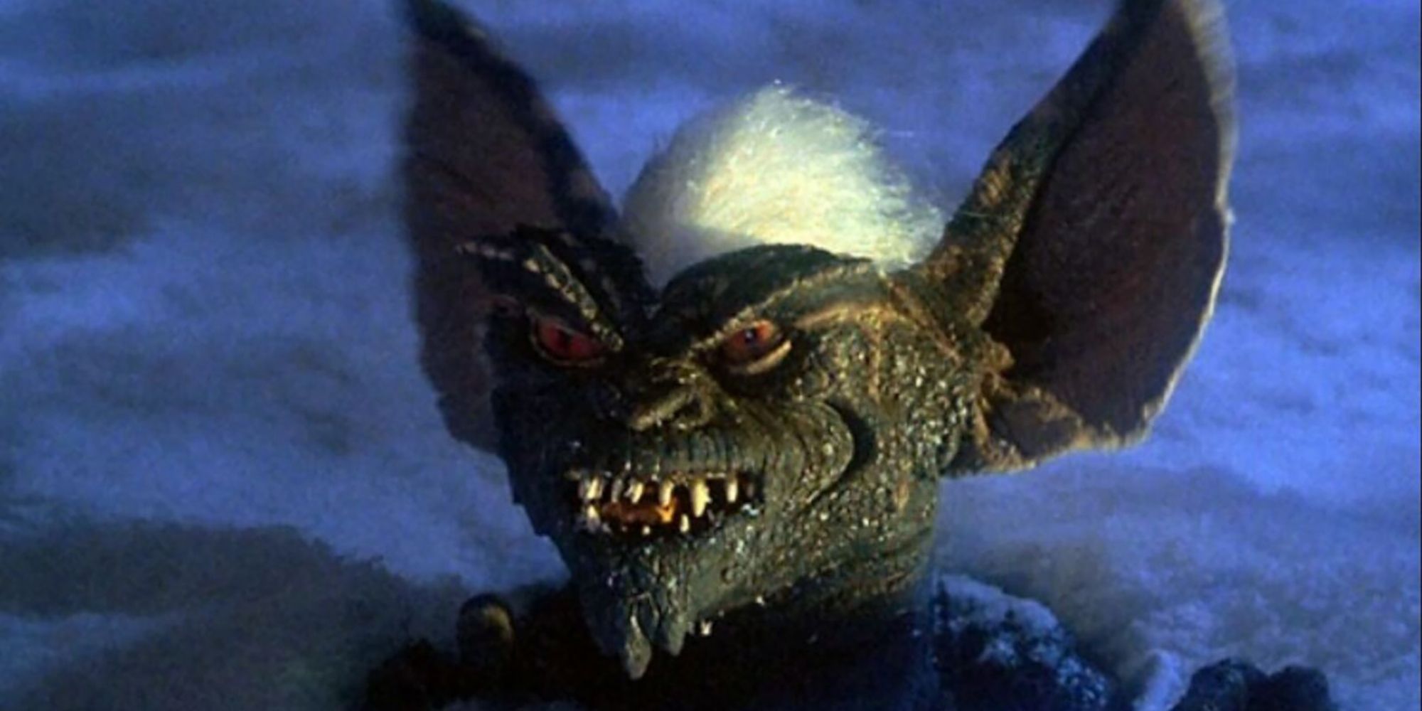 Stripe In Gremlins