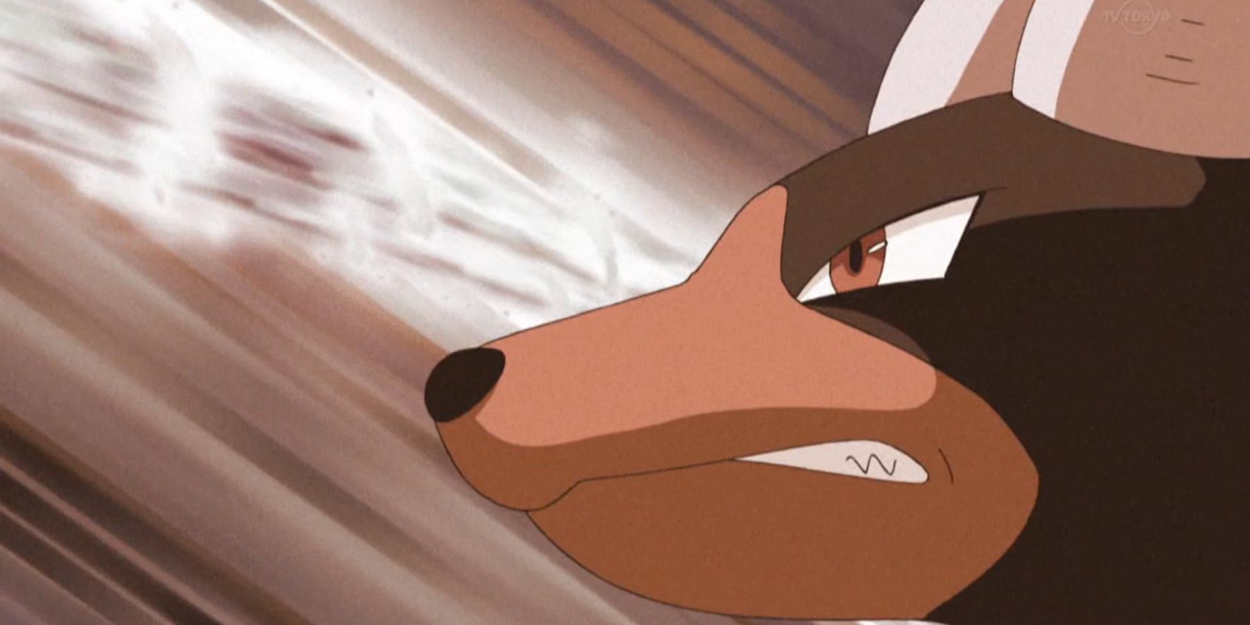 Pokemon animated Houndoom growling